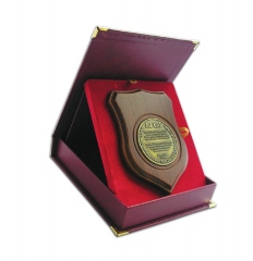 dyplom - medal na desce herbowej w etui
